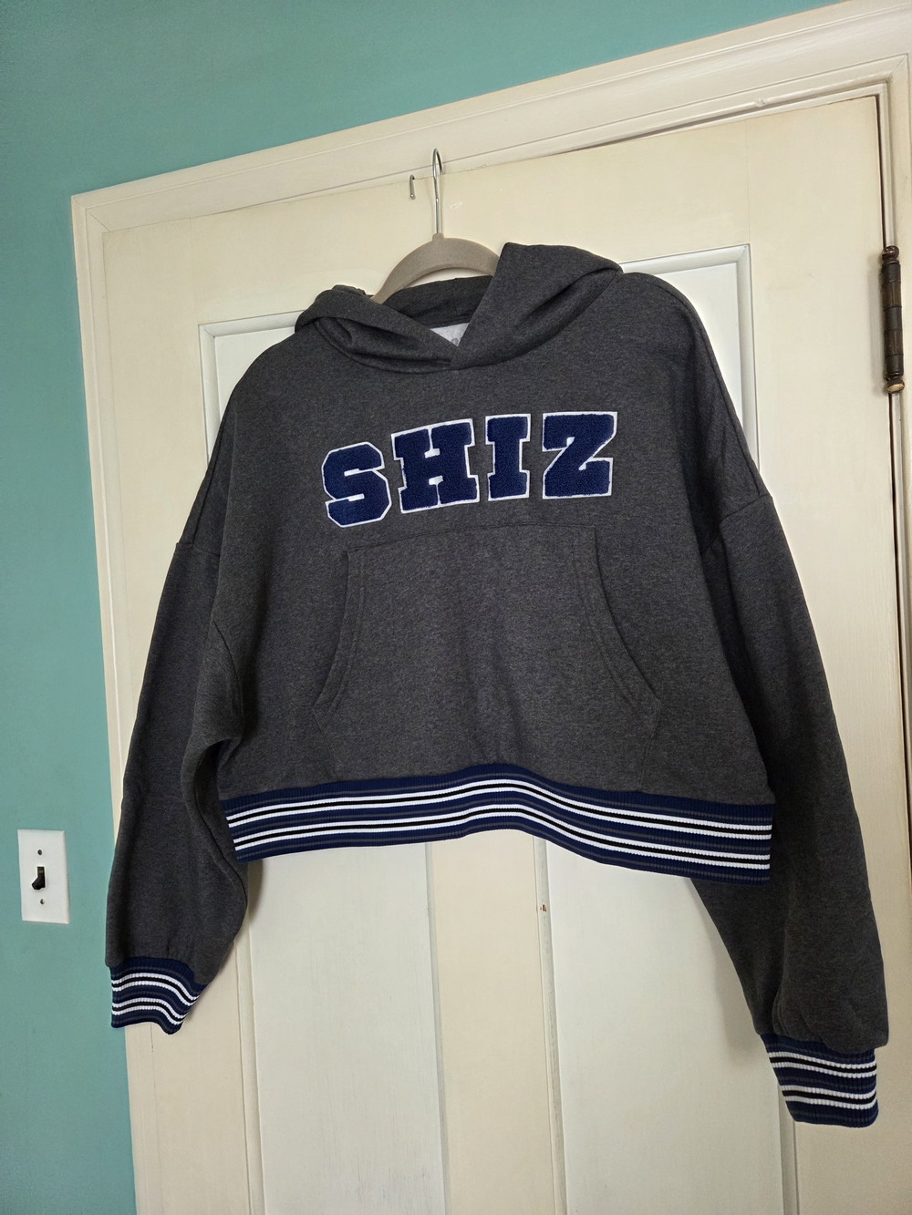 NWT Oversized Wicked SHIZ Hoodie - Size S